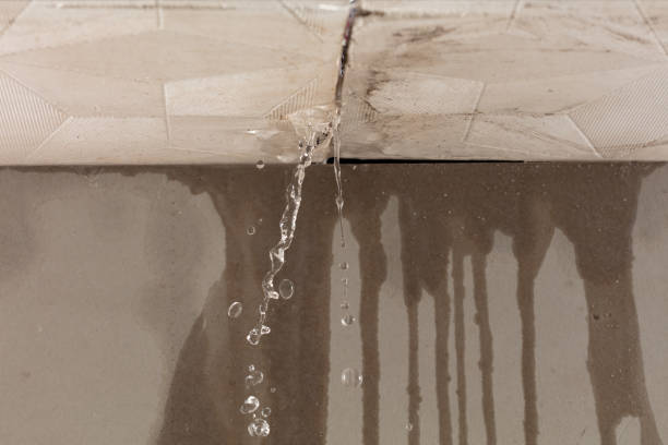 Professional Water Damage Repair technician working in Bridgewater, MA